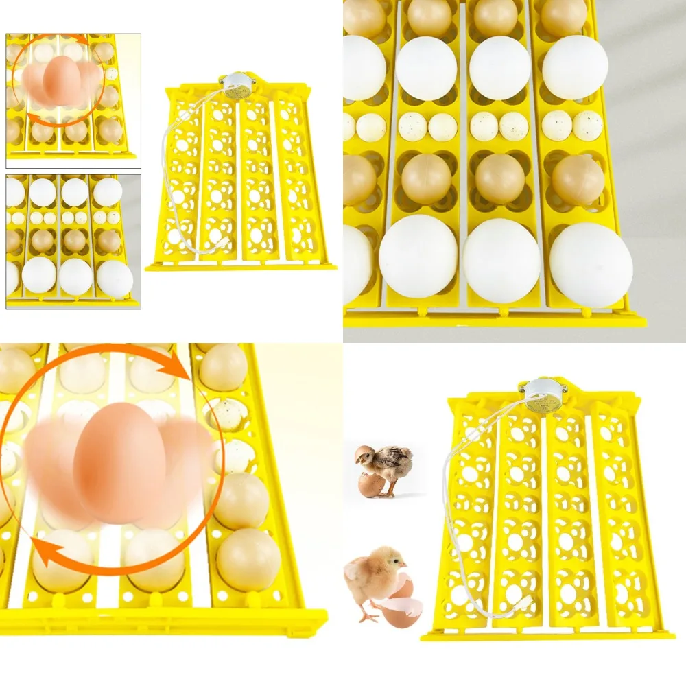 

Automatic Egg Incubator Tray for Goose, Duck, Quail, and Chicken - 24 Eggs Turning Tray for Efficient Incubation - Easy-to-Use E