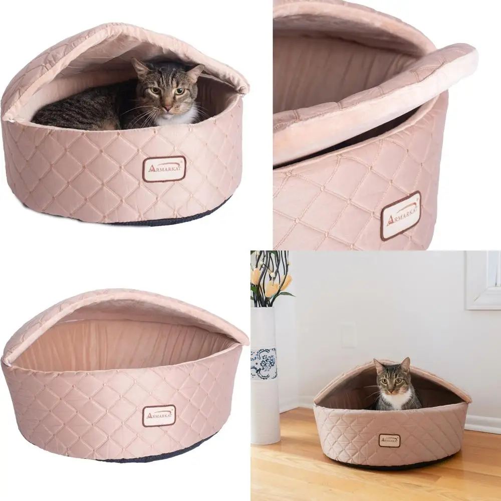 

«Светлое абрикосовое пятно отдыха среднего размера»