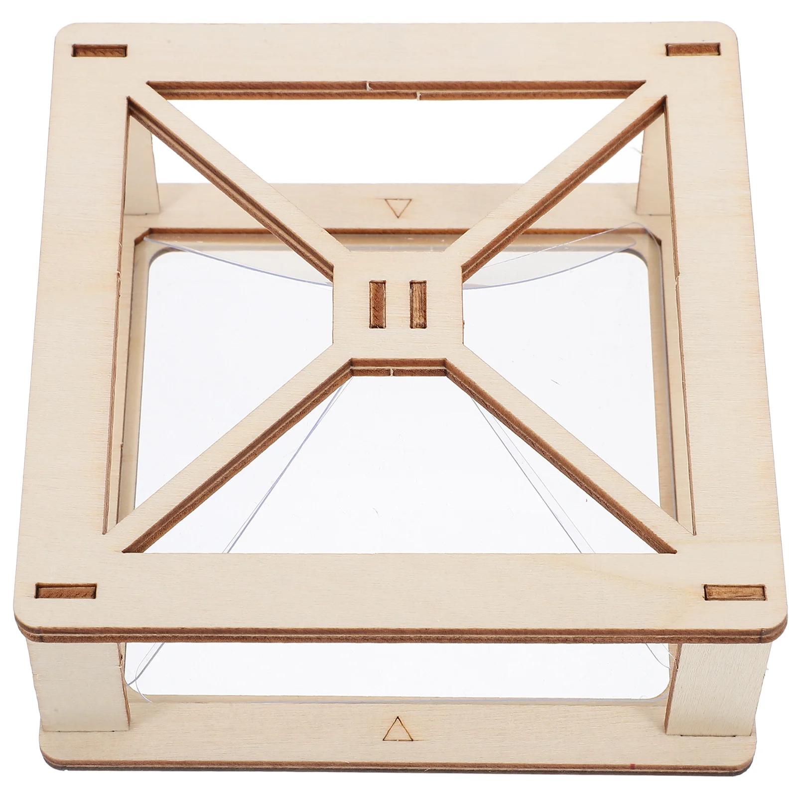 

Taste 3D Holographic Projection Teaching Tools Student Projector Wooden Display