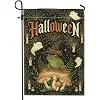 Halloween Witch Amphibian Garden Flag 12x18 Inch jjp