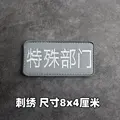 Embroidered patch 3