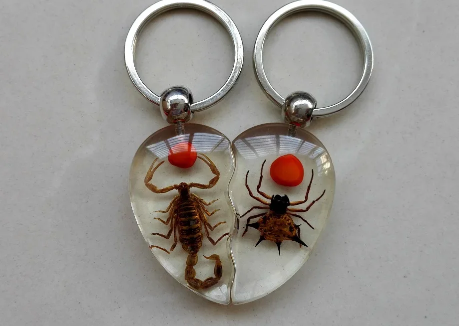 Amber Key Chain Insect Specimen Chain Pendant Scorpion Scarab Seven Star Ladybug Wasp Butterfly A Couple Key Ring Jewelry Gifts