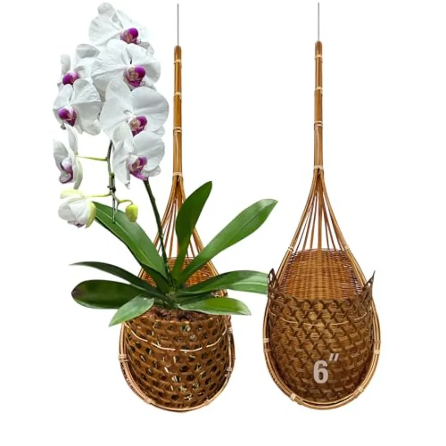 

Handmade 100 Thai Bamboo Super Sanctuary Hanging Orchid Basket 6 Inch Set of 2 Green Premium Crafted Plant Holder for Indoor Ou