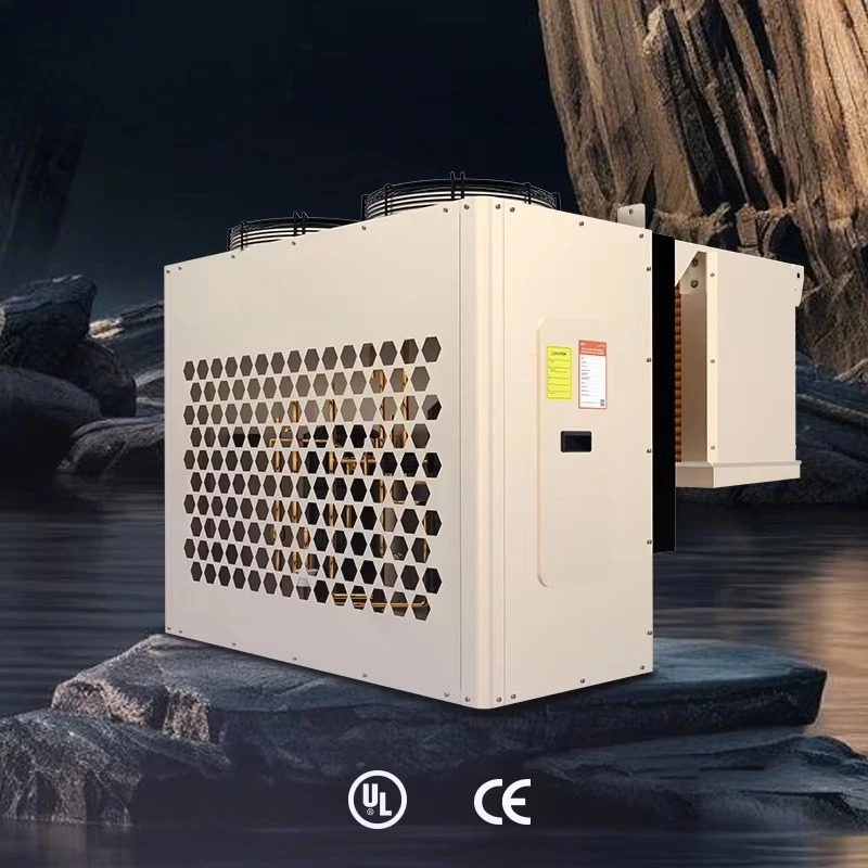 

Compact Cold Room Machine R507 Eco-Friendly Refrigerant Unit 3P Condensing Unit and Air-cooler