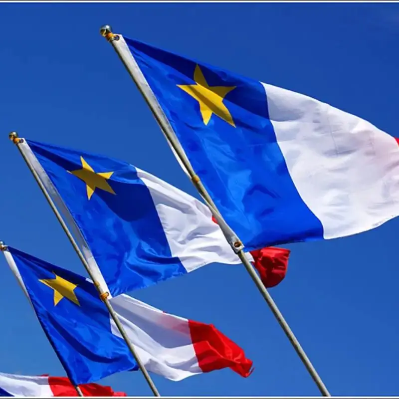 Acadia Nautical Flag Large 3x5 Ft, Moderate Outdoor/Indoor Polyester Brass Grommets 90x150 cm Canadian Acadian Flags 3' x 5' Ban