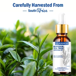 30ML Tea Tree Essential Oil ,100% Pure Nature for Aromatherapy, Diffuser, Humidifier, Woody, Relieving Stress,Massage Muscle