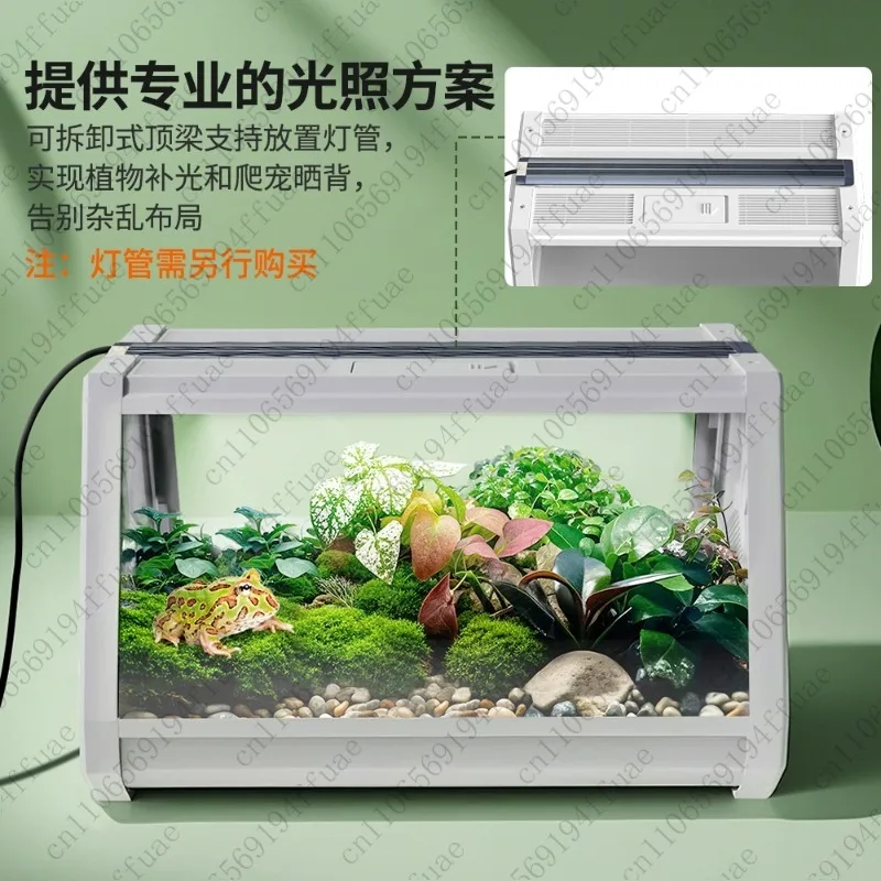 Ecological Landscape Aquarium Desktop Fish Tank Turtle Tank Aquarium Aquatic Plant Tank Rainforest