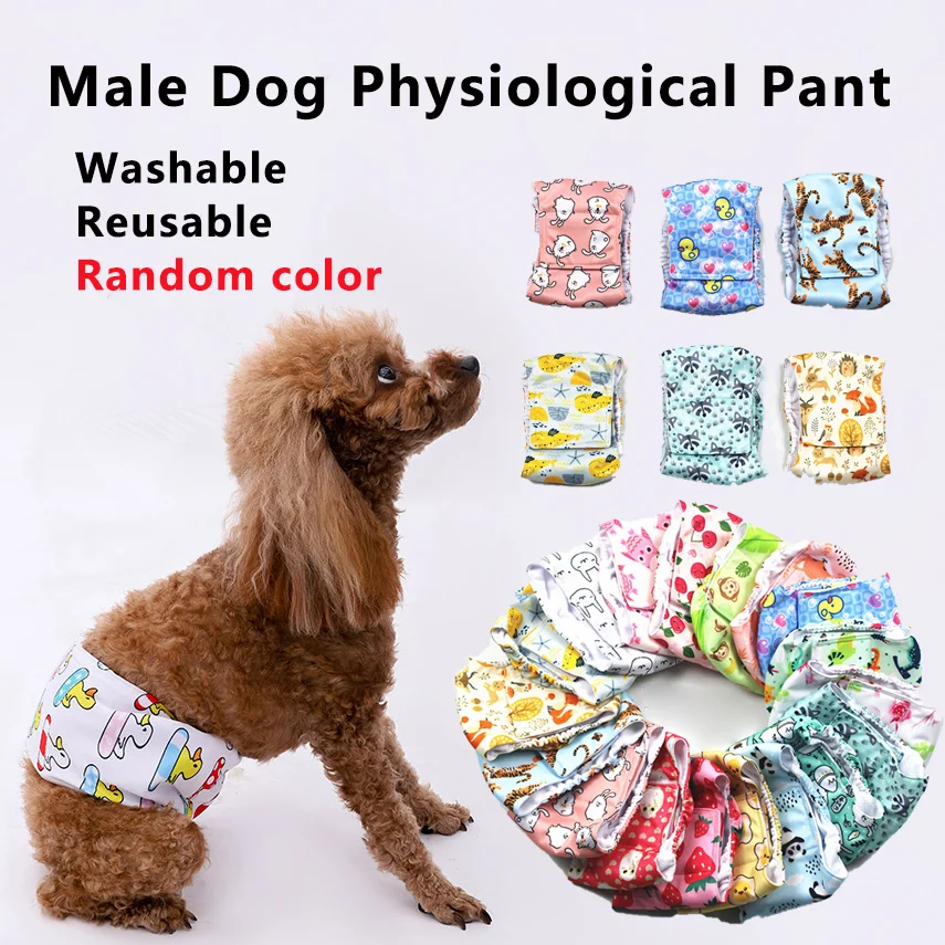 1/3pcs Washable Male Dog Physiological Pant  Adjustable Belly Wrap Band Reusable Sanitary Diaper for Small Large Dog RandomColor