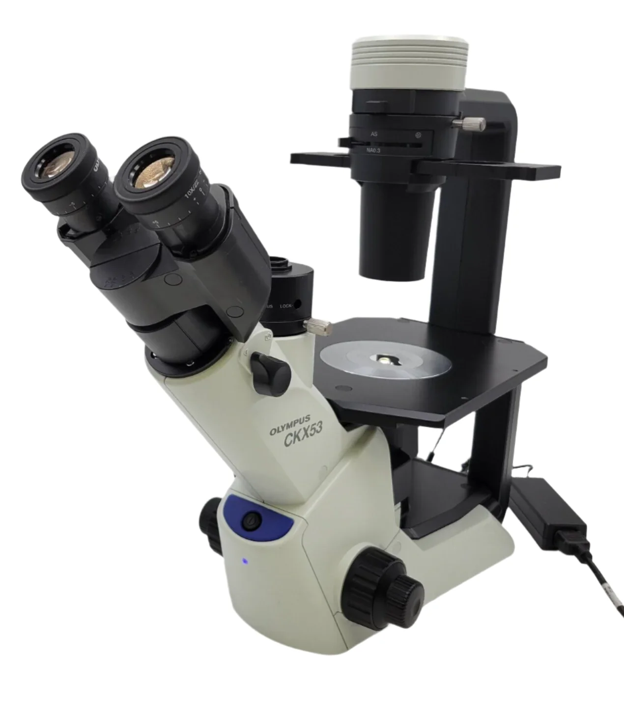 Olympus CKX53 Inverted LED Phase Contrast Microscope