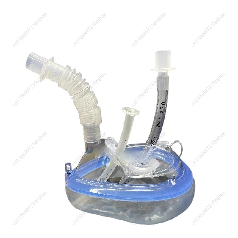 

Medical Endoscopy Anesthesia Mask Fiberoptic Bronchoscopy Gastroscopy Intubated Breathing Mask with Dental Pads