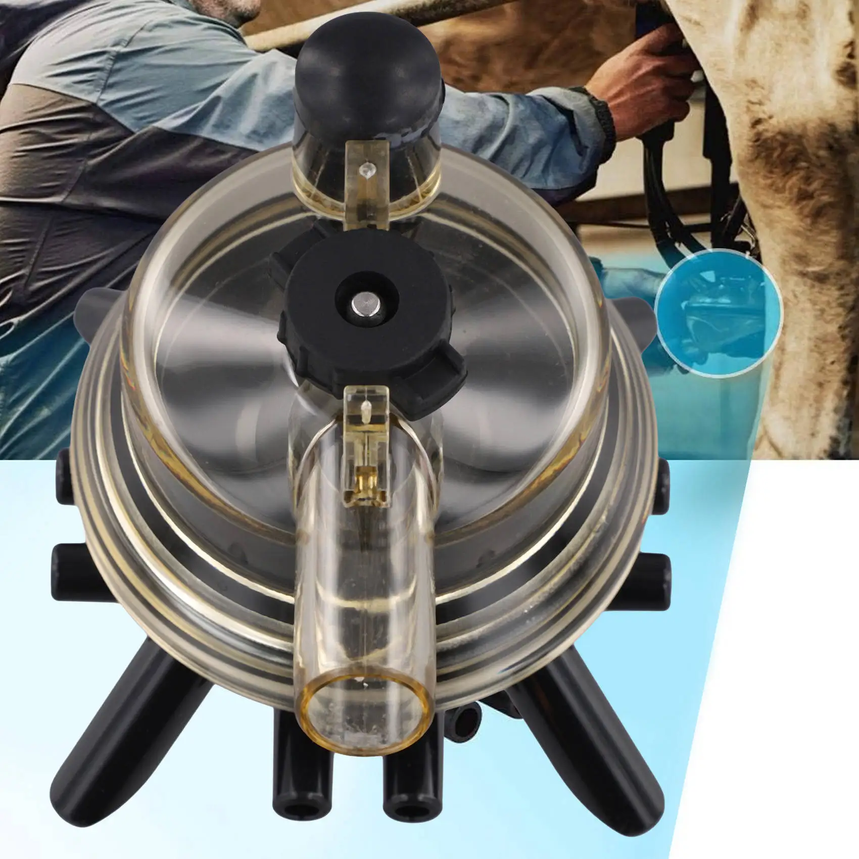 B03C-Milking Claw 150Cc Bevel Cow Milk Collector Milking Machine Cow Use Milking Claw Milk Collector  For Cow Milking Machine
