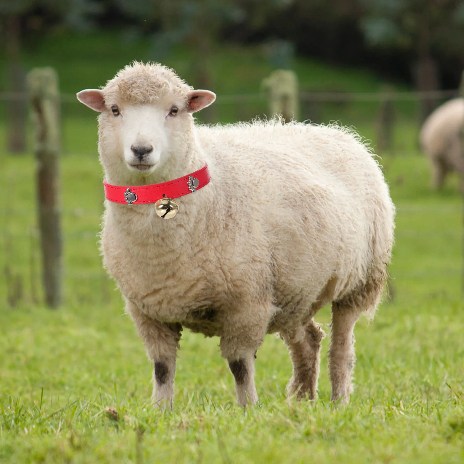 

4Pcs Sheep Collars Adjustable Livestock Anti-Lost Collars with Bells Goat Cow Horse Non-Slip Animal Husbandry Supplies