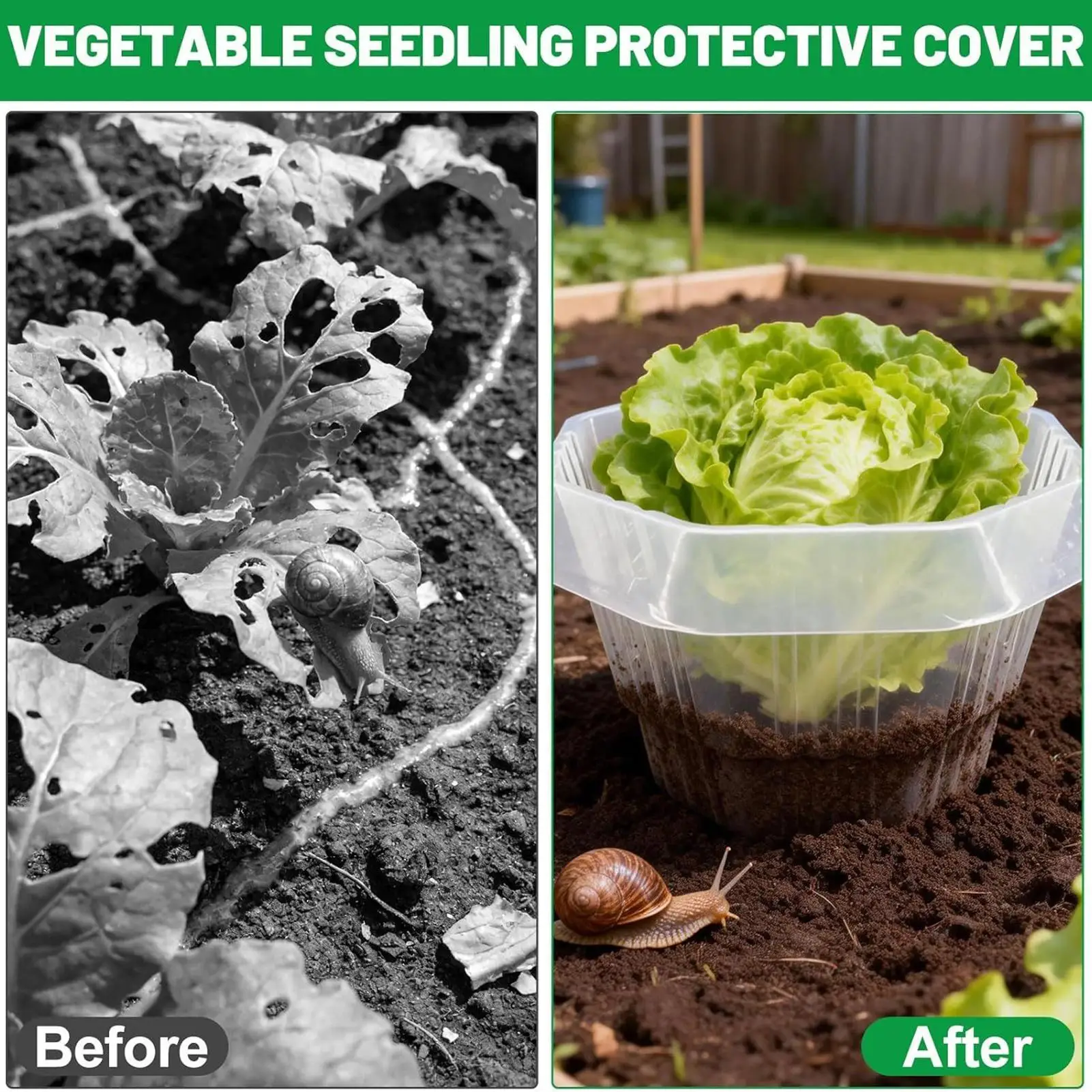 Slug Collars For Plants 20-Piece Protective Gardening Dome Slug & Snail Plant Protection Collars For Vegetable Flower Salad