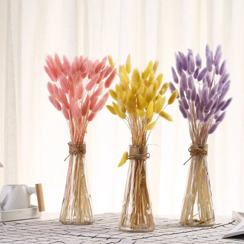 

Flore Secas Head About 3-5cm Bunny Tail Natural Dried Flower Furnishing Living Room Decoration Christmas Decor Free Shopping