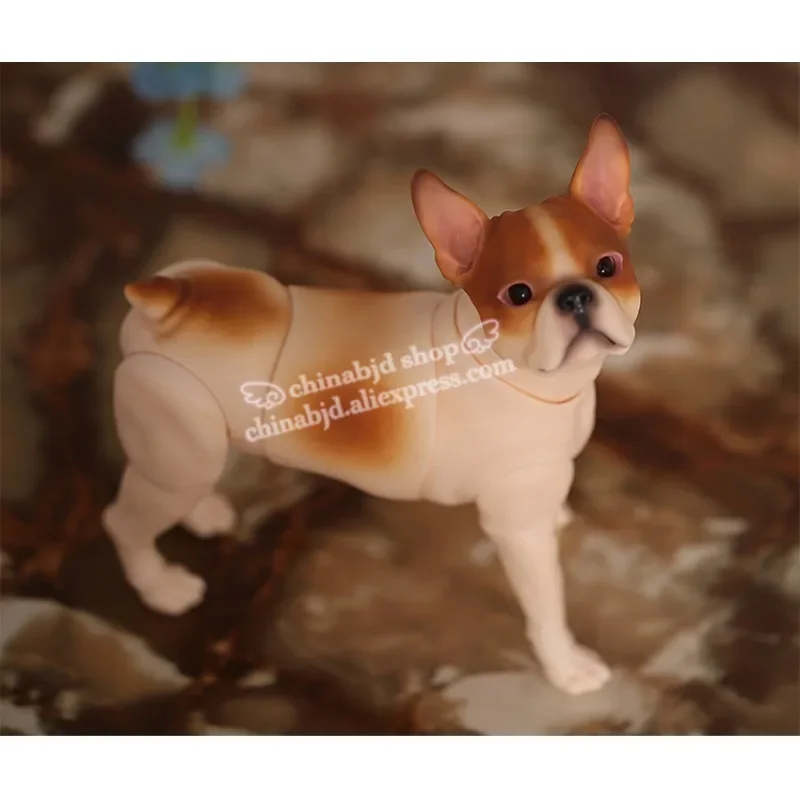 1/6 Doll BJD Dog Pet SD Joint Doll Oueneifs Educational Toys  luodoll