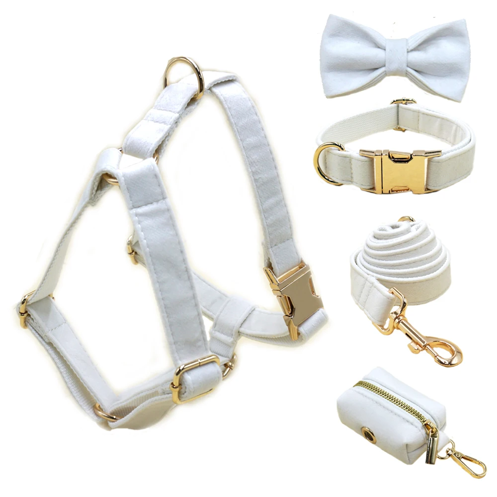 

White Velvet Pet Dog Collar Luxury 5PCS/Set Personalized Dog Collar Harness with Gold Buckles Anti-Lost Cute Bow Collar and Lead