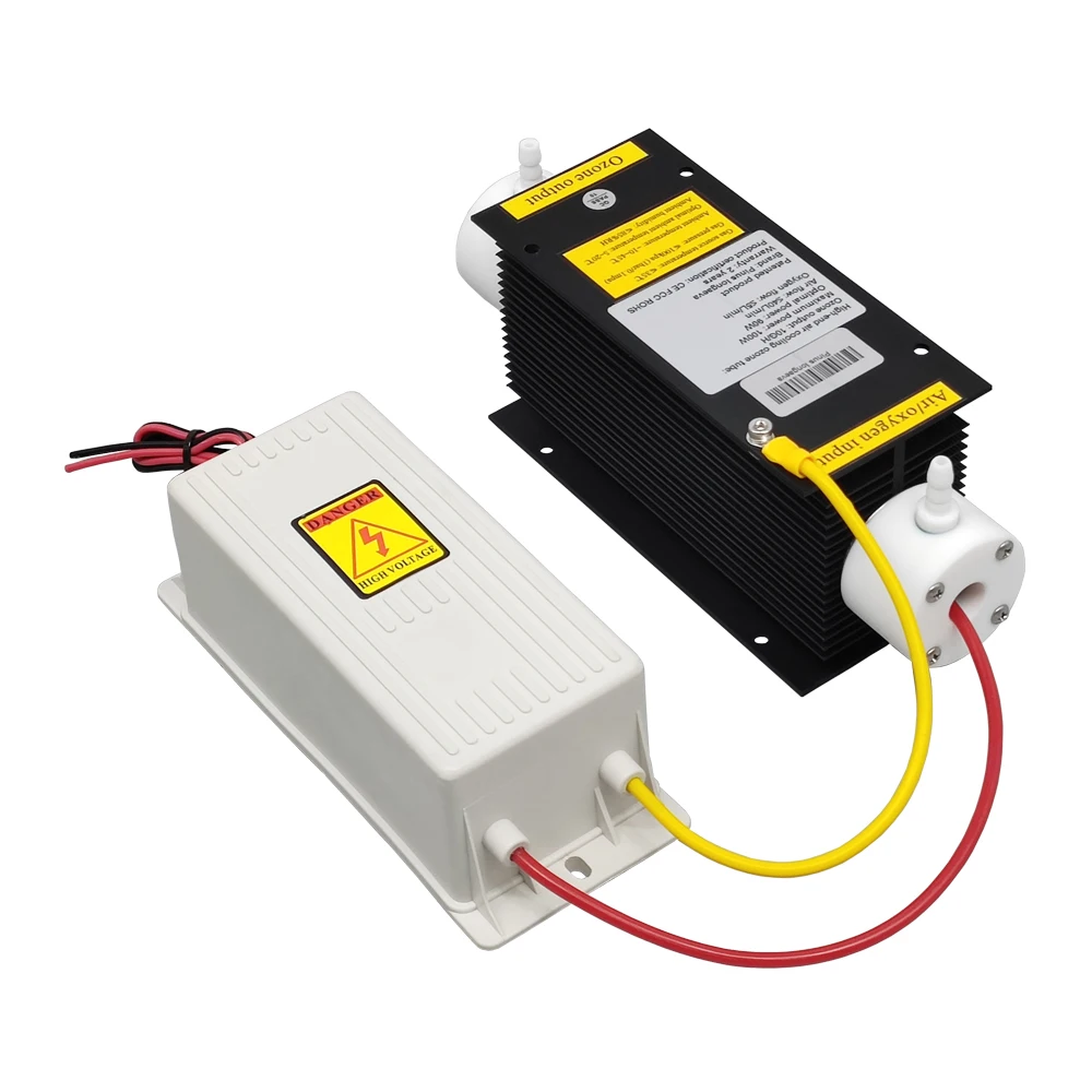 Hot Sale 0-10g DC12V DC24V Air Cooled Ozone Generator, Ozonizer for Swimming Pool, Aquaculture & Water Disinfection CE FCC ROHS