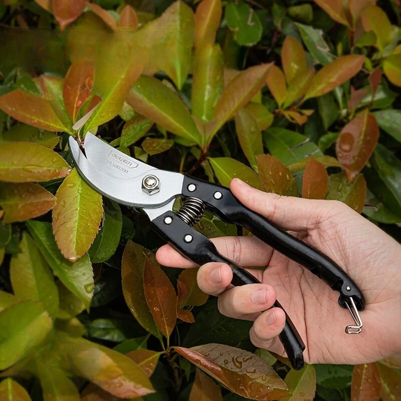 Fruit Tree Scissors Labor-saving Scissors Gardening Pruning Tree Branches Scissors Pruning Shears