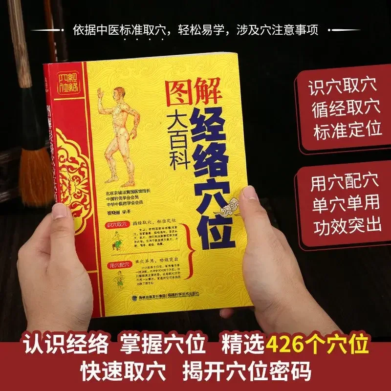 Traditional Chinese Medicine Health Basic Theory Diagram Meridians Symptomatic Massage Tutorial Whole Body Acupoint Books