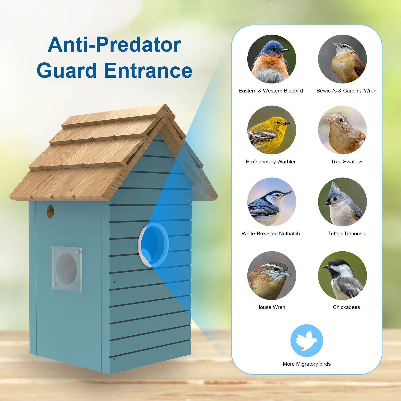 Intelligent Vision Wooden Hatch Conforms To Bird Habits Bird Hatch Video Recording Aviary Bird Nest