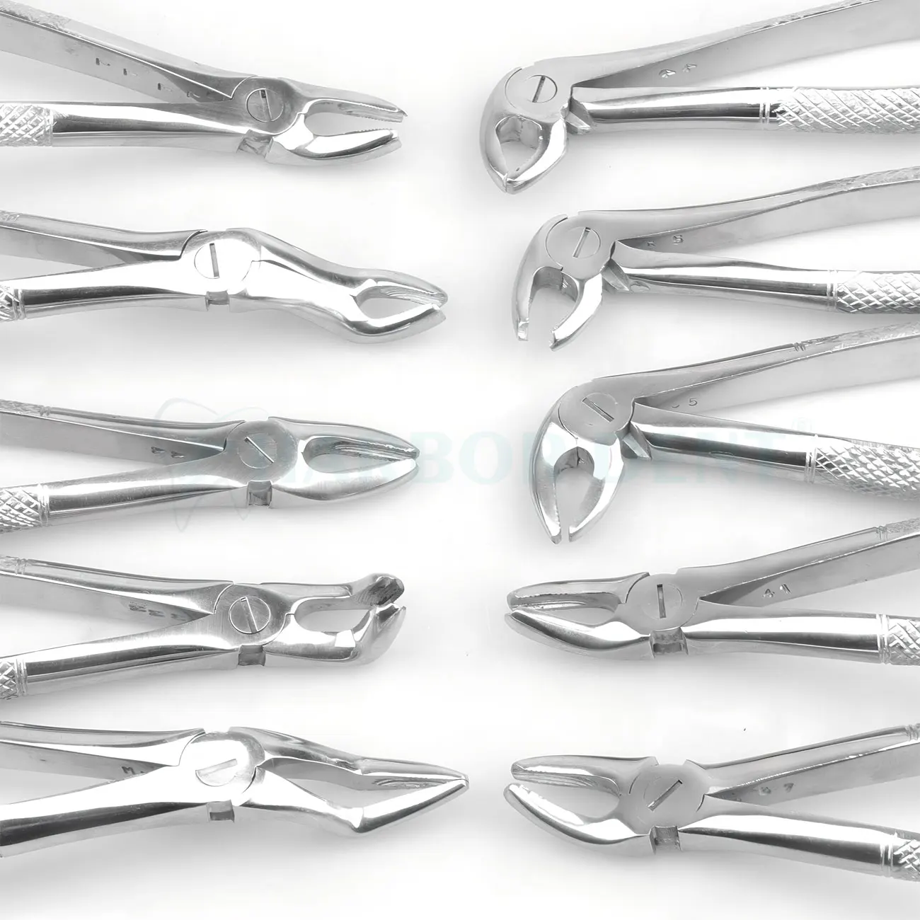 10Pcs/Set Dental Extraction Forceps Kit for Adults Tooth Elevator / Pliers Set Dentist Surgical Instruments Oral Surgery Tools - Image 6