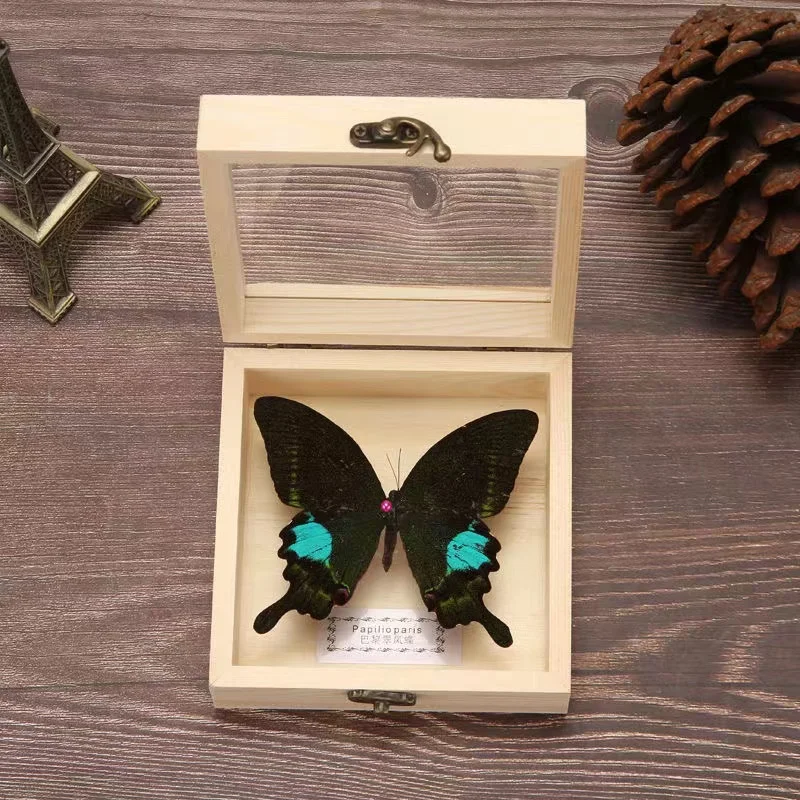 Real Butterfly Specimen Wooden Box, Display Frame, Picture Frame, Home Decoration, Small Ornaments, Insect, Birthday Gift