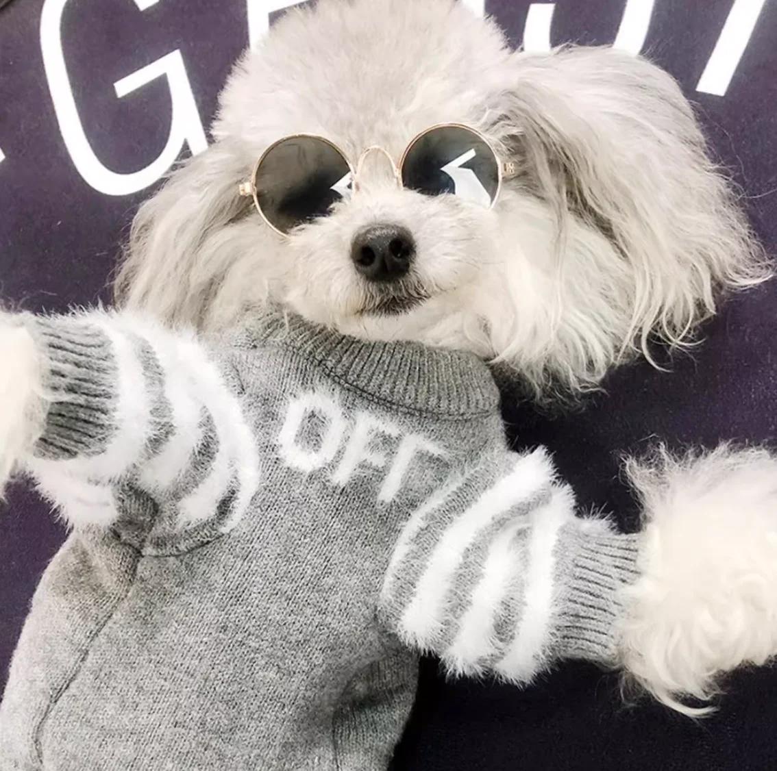

Soft Classic Design Pet Clothing Brand Style Warm Dog Knitted Sweater