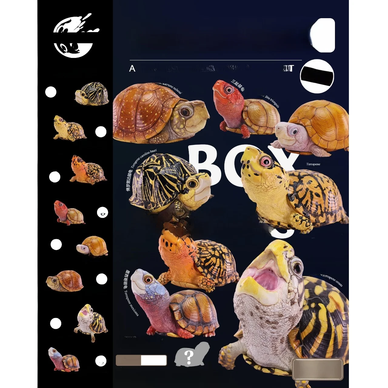 nouveau-animal-nuage-coeur-large-corps-gros-serie-floride-boite-tortue-resine-modele-jouet-a-collectionner-figurine-statique-boite-orientale-tortue