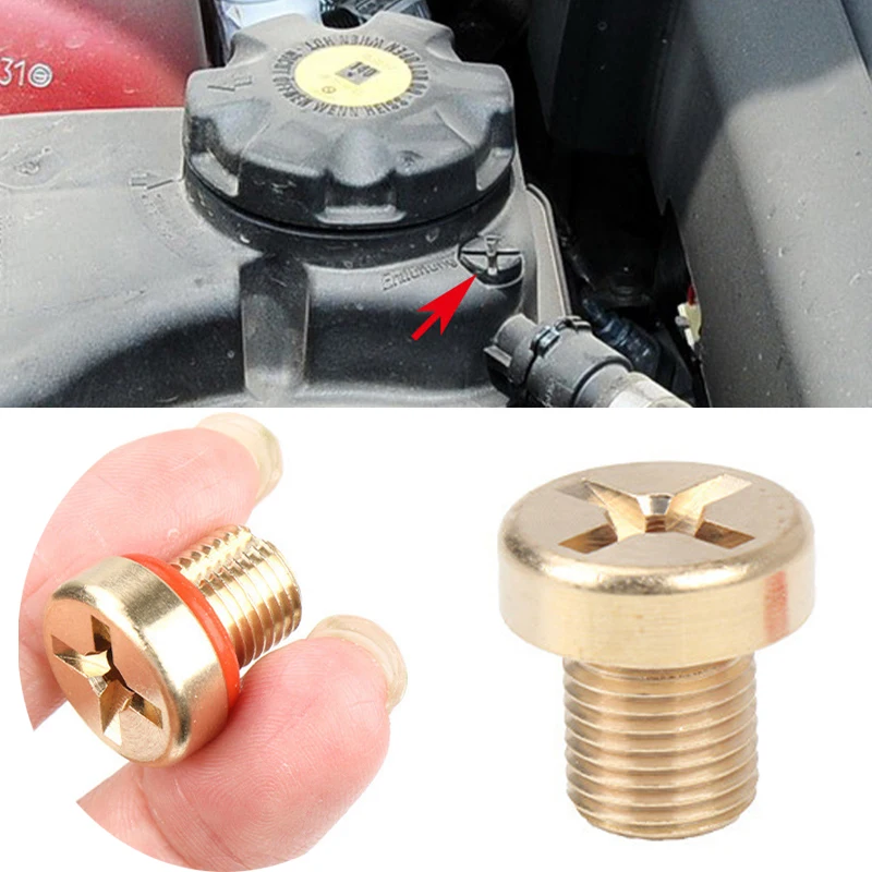 Universal Brass Coolant Expansion Screw Water Tank Drainage Screw For BMW F20 F30 F10 F25 G01 G30 G20 E36 E39 E46 17111712788