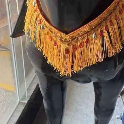 تم تجهيز الخيول بصناديق ملونة وصناديق كبيرة وزخارف السرج وصناديق الزهور.