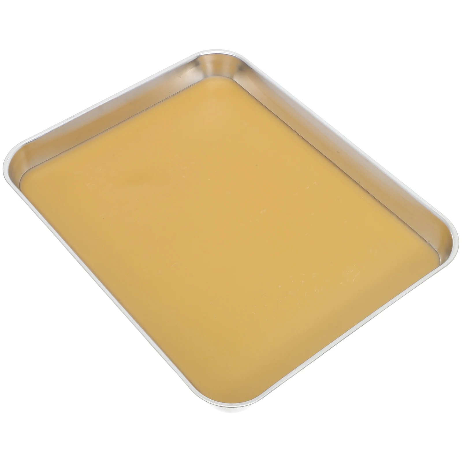 

Anatomy Tray Dissecting Plate Small Metal Wax Dissection with Trays Pan for Lab
