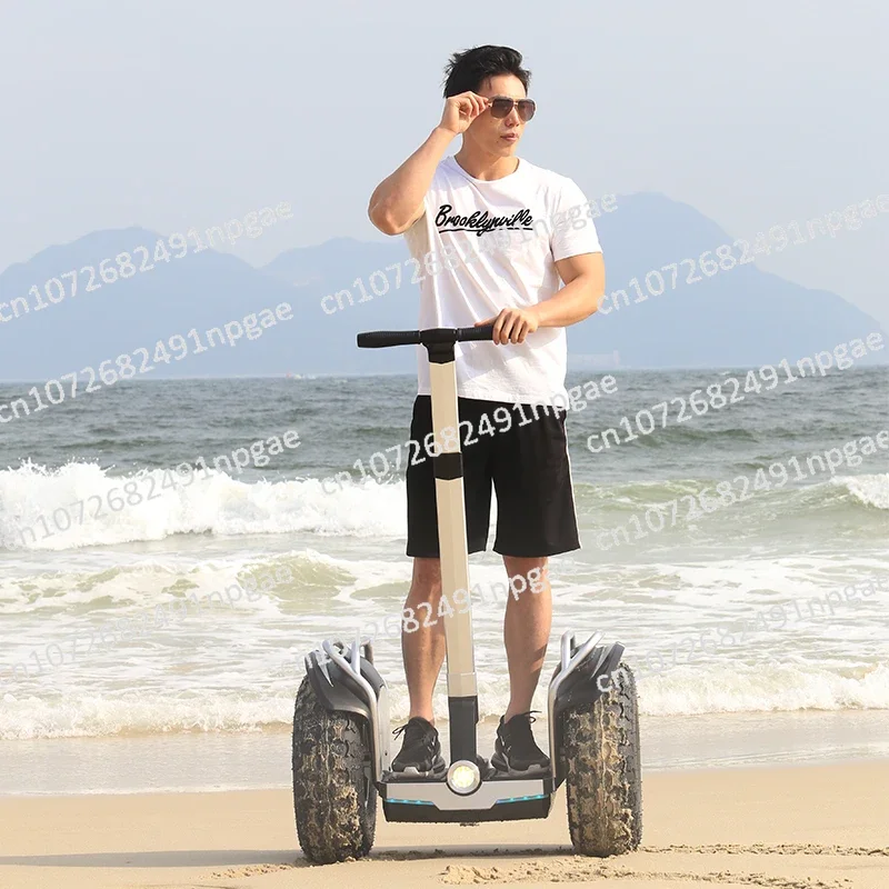 Dual Motor 3000W Off Road 20 Inch Fat Tire Two Wheel Self Balancing Electric Mobility Scooter