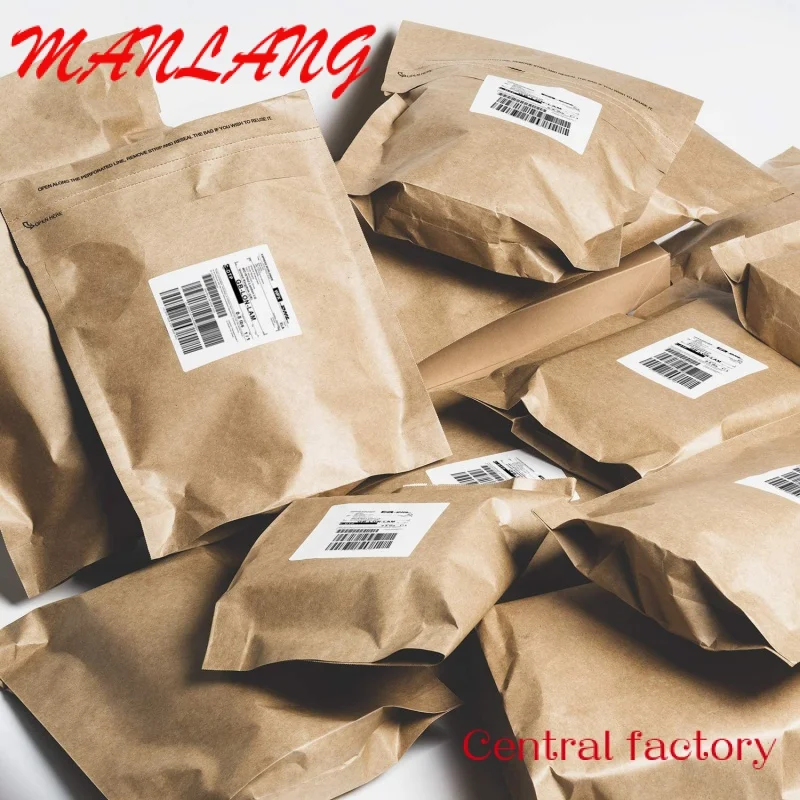 Custom  Custom Recyclable T-shirt Clothing Mailing Envelopes Document bag Self Seal paper shipping bags for clothing