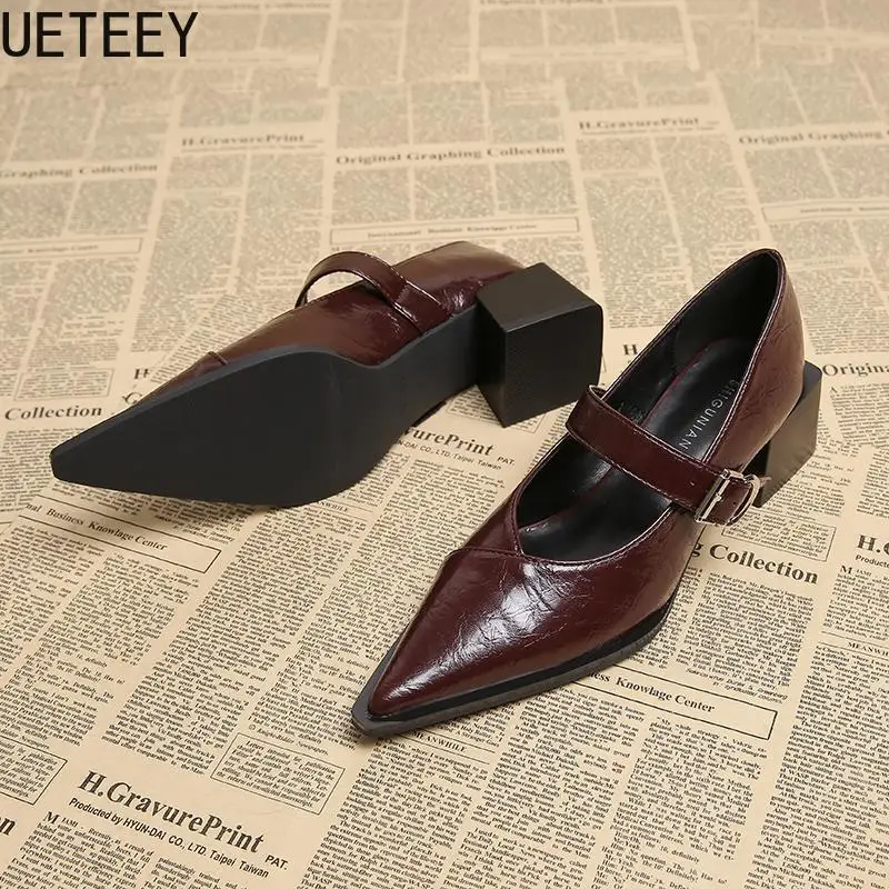 Designer Vintage Pointed Toe Women Mary Jane Shoes Fashion Shallow Buckle Shoes Spring Ladies Elegant Dress Thick Heel Shoes