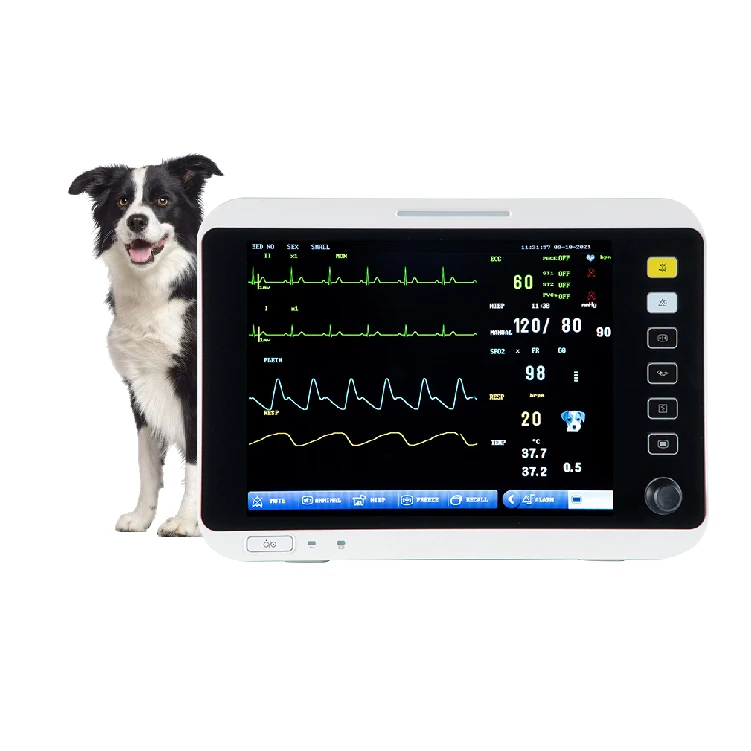 

Pet Hospital Clinic Vital Signs ICU Veterinary Patient Monitor For Medical Use