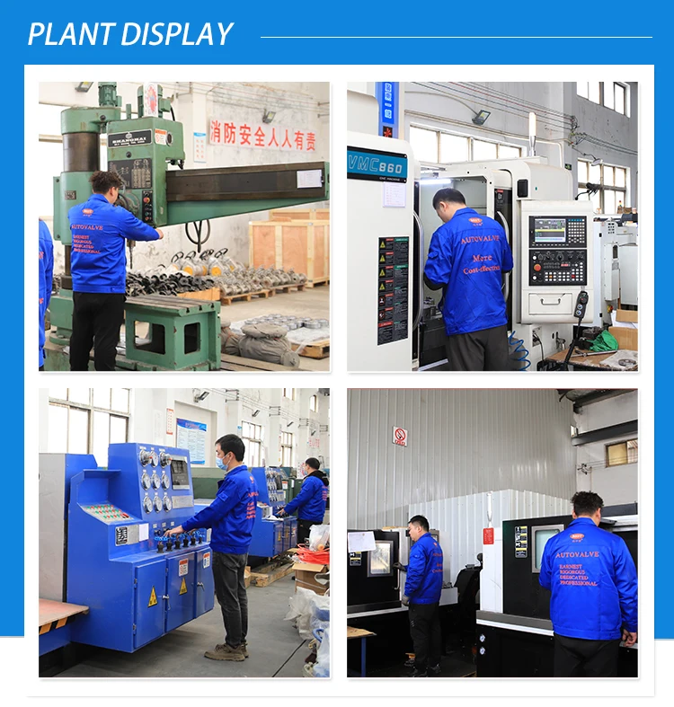 Valves XQG Cast Steel  XQG-B Stainless Steel Series Air-removed Filter