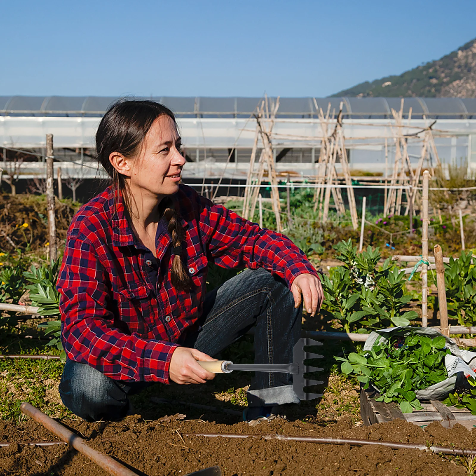 

Household Hand Garden Rake Creative Mini Grass Rake with Firm Grip for Weeding and Soil Loosening Hand Cultivator