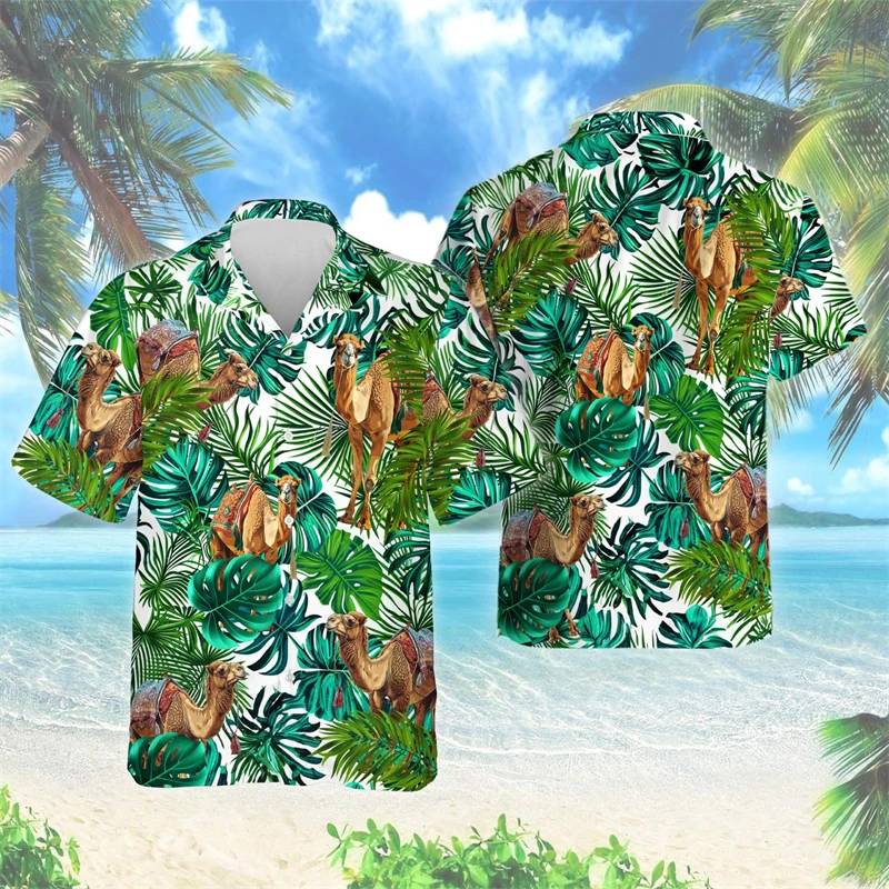 Shirts-PZMT40480