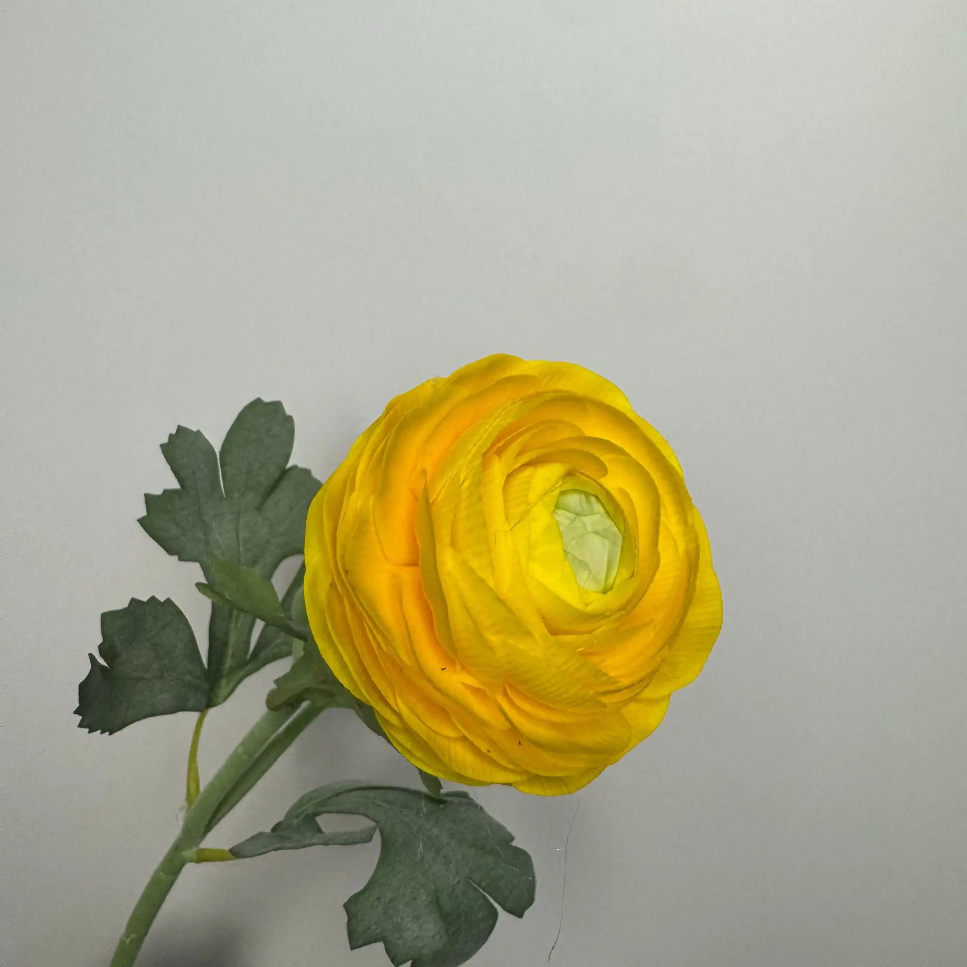4 Stücke, angenehm anzufassen, feuchtigkeitsspendend, 2-köpfige Butterblumen, Dekoration für den Esstisch zu Hause, echt anfühlende künstliche Lotusblumen für Hochzeiten. – Detail 12