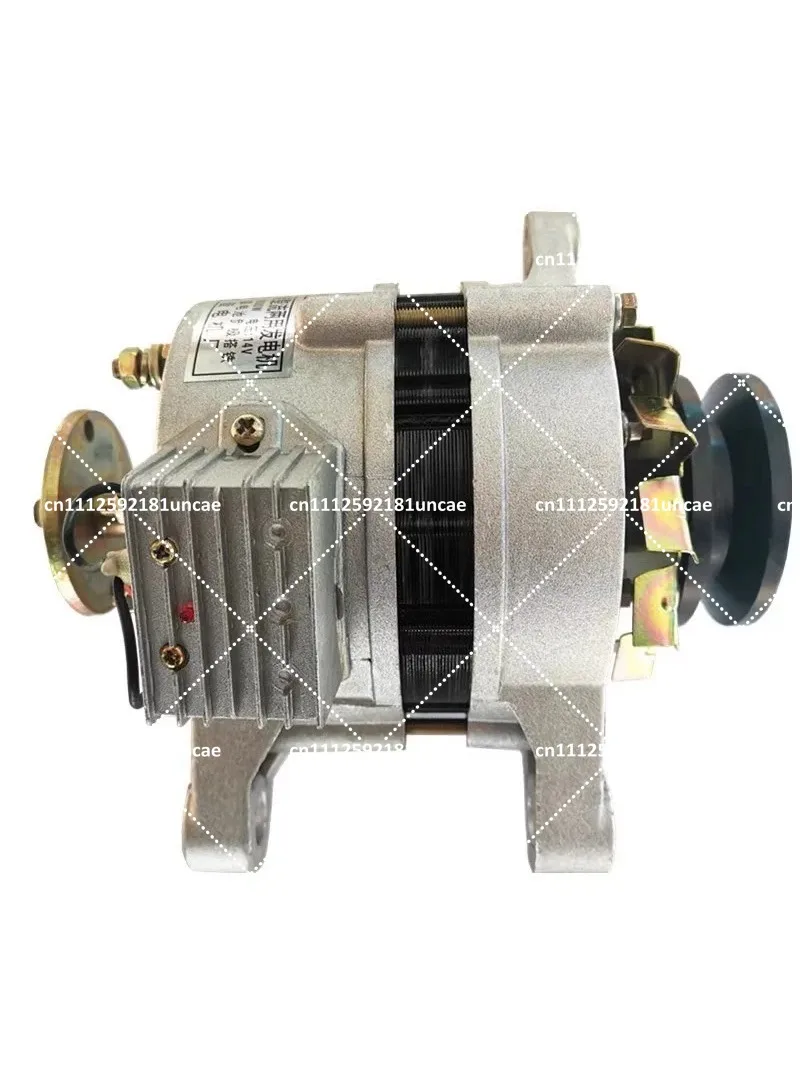 Agricultural Vehicle Tricycle 12V 14V DC Generator 1500W Pure Copper Permanent Magnet Dual-Use Alternator