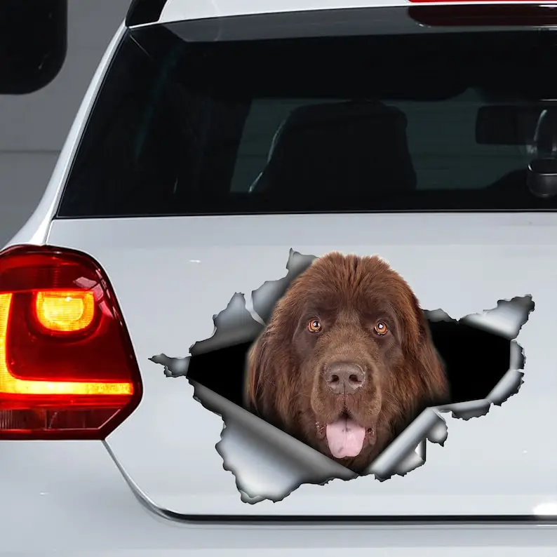 Brown newfie decal, Brown newfie magnet, newfoundland sticker