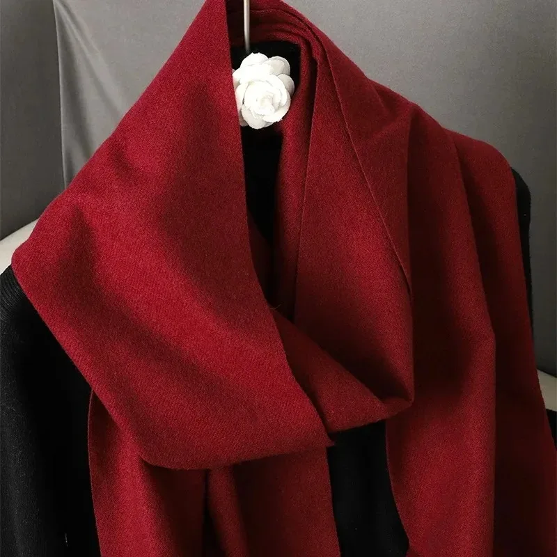 62 farbe Solide Frauen Winter Schal Warm Verdicken Kaschmir Schal Outdoor-Mode Luxus Quasten Pashmina Dame Wrap Winddicht Schals – Detail 1
