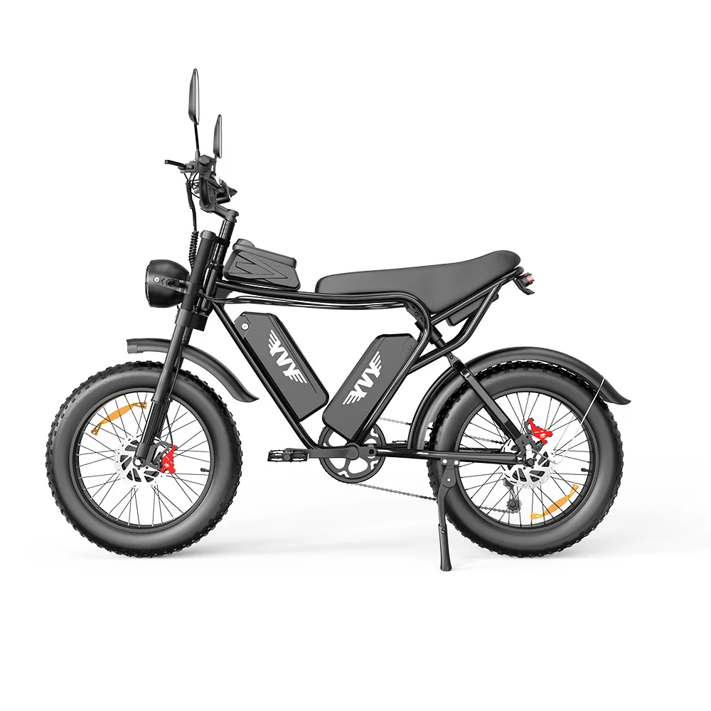 AliExpress YVY C20 Adult E-bike 1000W Motor Off Road Electric Bike 48V13AH/20AH Battery Electric Bicycle 20 Inch Fat Tire E-Mountain bike