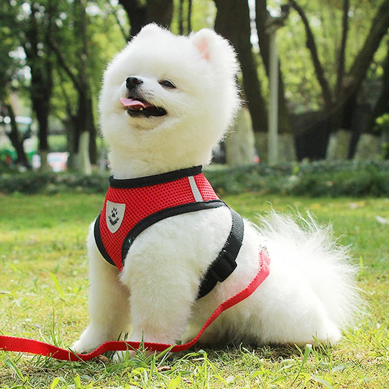 Adjustable Polyester Mesh Harness Vest for Cats and Dogs, Walking Leash, Puppy Collar, Small and Medium Pet Accessories, S-XL