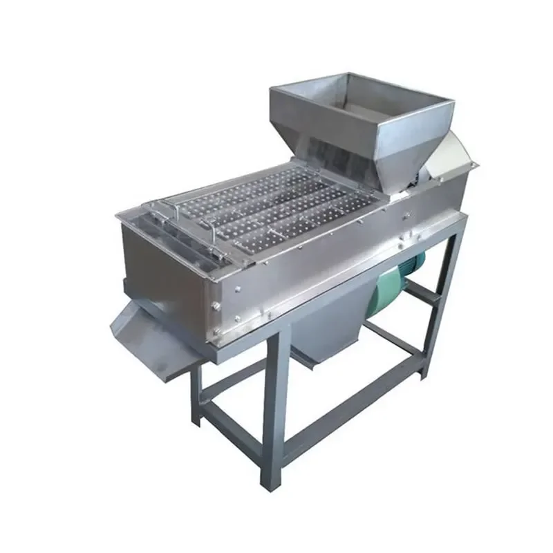 Stainless Steel Automatic Dry Groundnut Peeling Machine Peanut Shell Peeling Machine Peanut Red Skin Peeling Machine