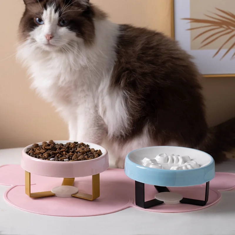 Pet Slow Food Bowl for Cats and Small Dog Ceramic Food Bowl Anti Choking