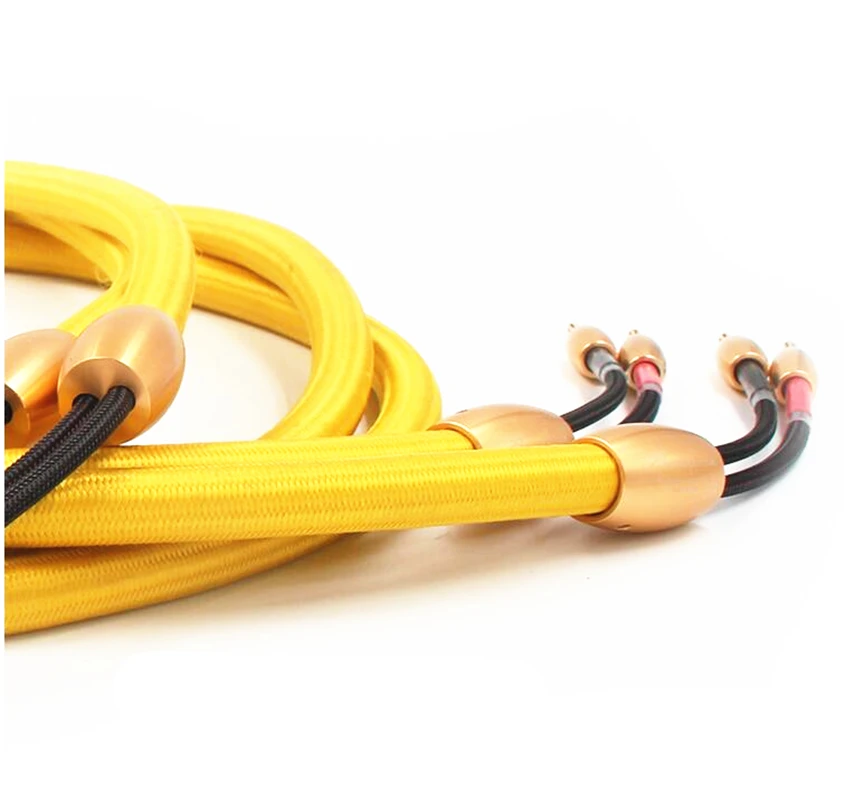 Accuphase 24K Gold Plated Banana Plug Hifi Speaker Cable Hi-end Speaker Wire for Amplifier and CD