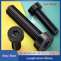 12.9 Grade High Strength Low Head Hex Socket Cap Screws, Alloy Steel Thin Head Bolts M3 M4 M5 M6 M8 M10 M12 M14 M16