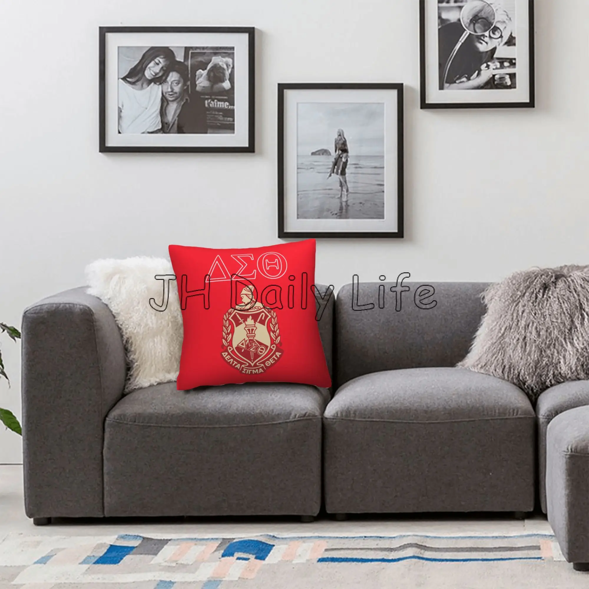 Delta Sigma Theta Sorority Print Throw Pillow Cover Pillowcase Gift for Girls Women Cushion Cover for Couch Bed Car 18x18 Inch