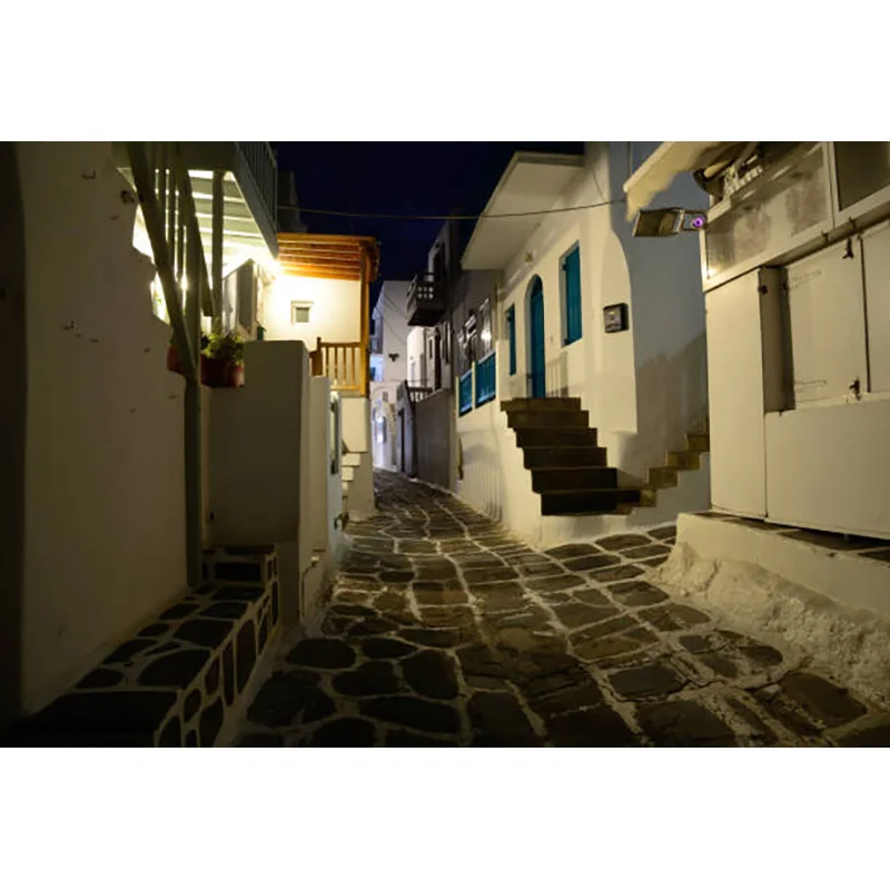 NITREE Green Plants and Traditional Houses Spring Flowers Streets of the Small Town Photography Background Prop XZ-03